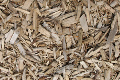 biomass boilers Sefster
